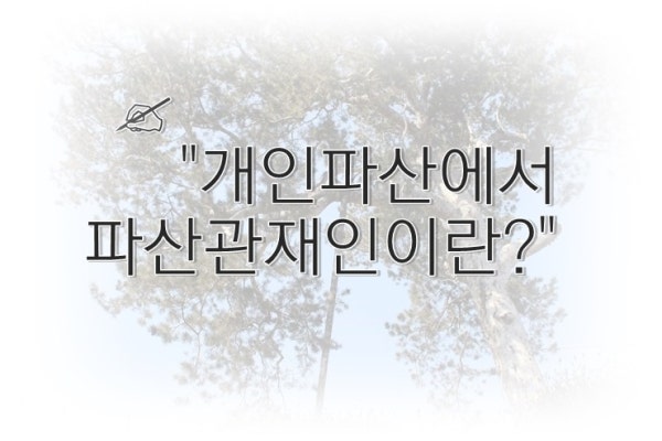 파산관재인 선임