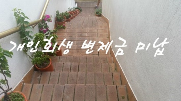 개인회생 변제금미납 폐지