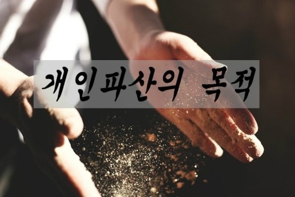 파산의 목적